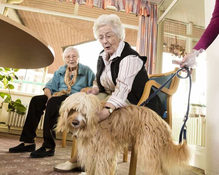 Gerontopsychiatrische Fachkraft (m/w/d) - Mitdenken und Mitgestalten! Bad Dürkheim - CURA Altenpflegeheim An den Salinen GmbH - Pflegia