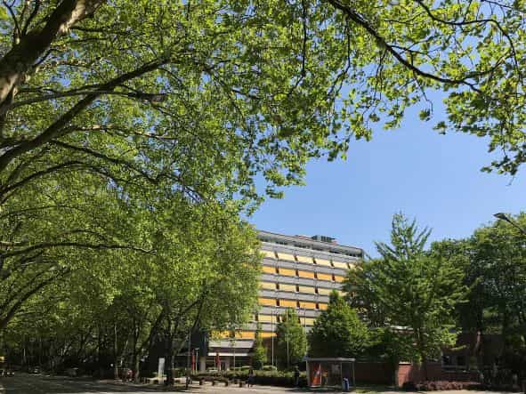 Pflegefachassistenz (m/w/d) in Teilzeit (50-70%) - Bei uns können Sie sich geborgen fühlen! Duisburg - AWO Seniorenzentrum Karl-Jarres-Straße - Pflegia