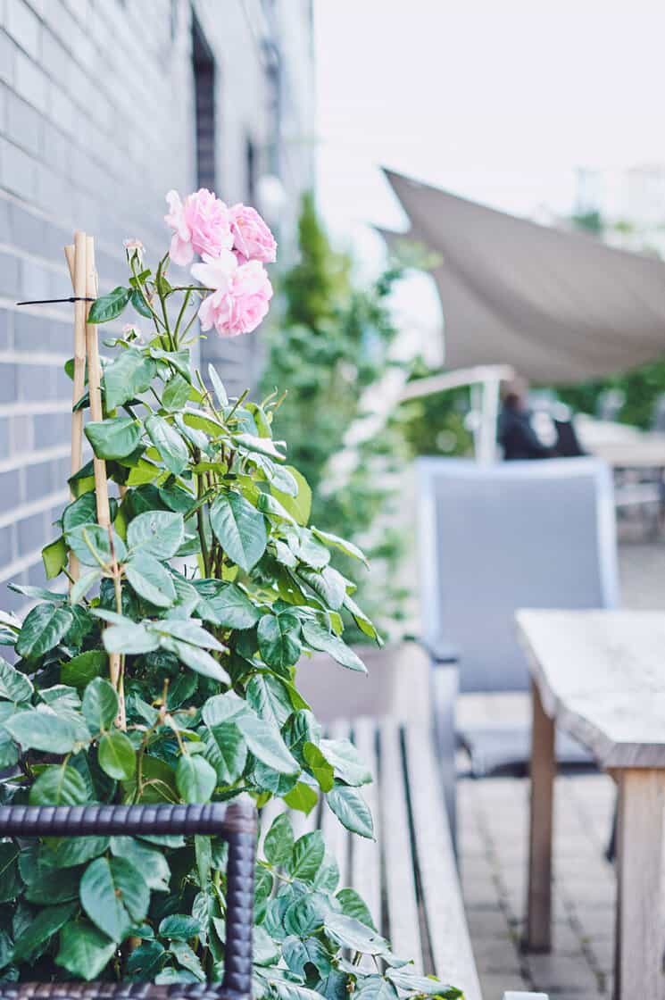 Pflegefachassistent:in (w/m/d) in Teilzeit - Steig mit in unser Team ein! Münster - Johanniterstift Münster - Pflegia