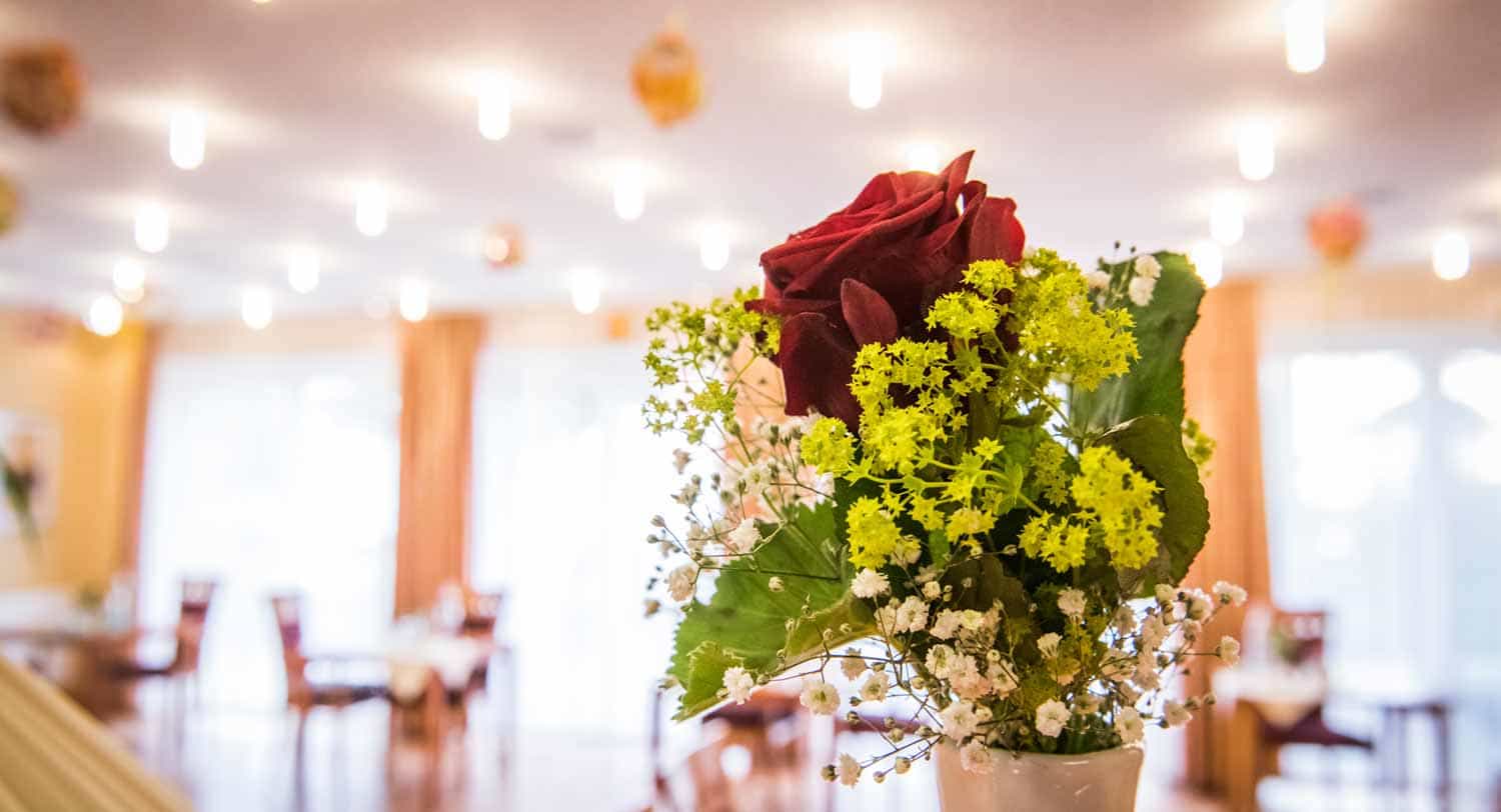 Pflegefachhelfer:in / Pflegeassistenz (m/w/d) - Werde Mitglied der K&S Familie! Dresden - K&S Seniorenresidenz Dresden - Pflegia