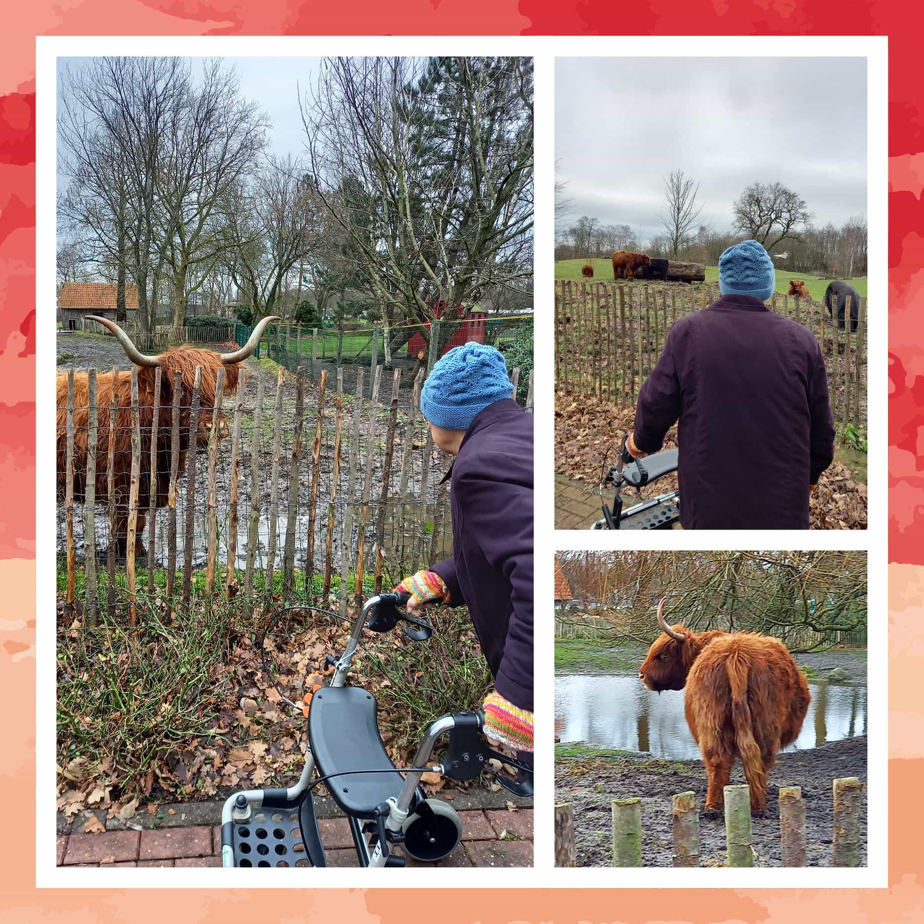 Gerontopsychiatrische Fachkraft (w/m/d) - Wir wollen Persönlichkeit! Saterland - Emeis - Seniorenresidenz Christopherus (Peter Janssen) - Pflegia