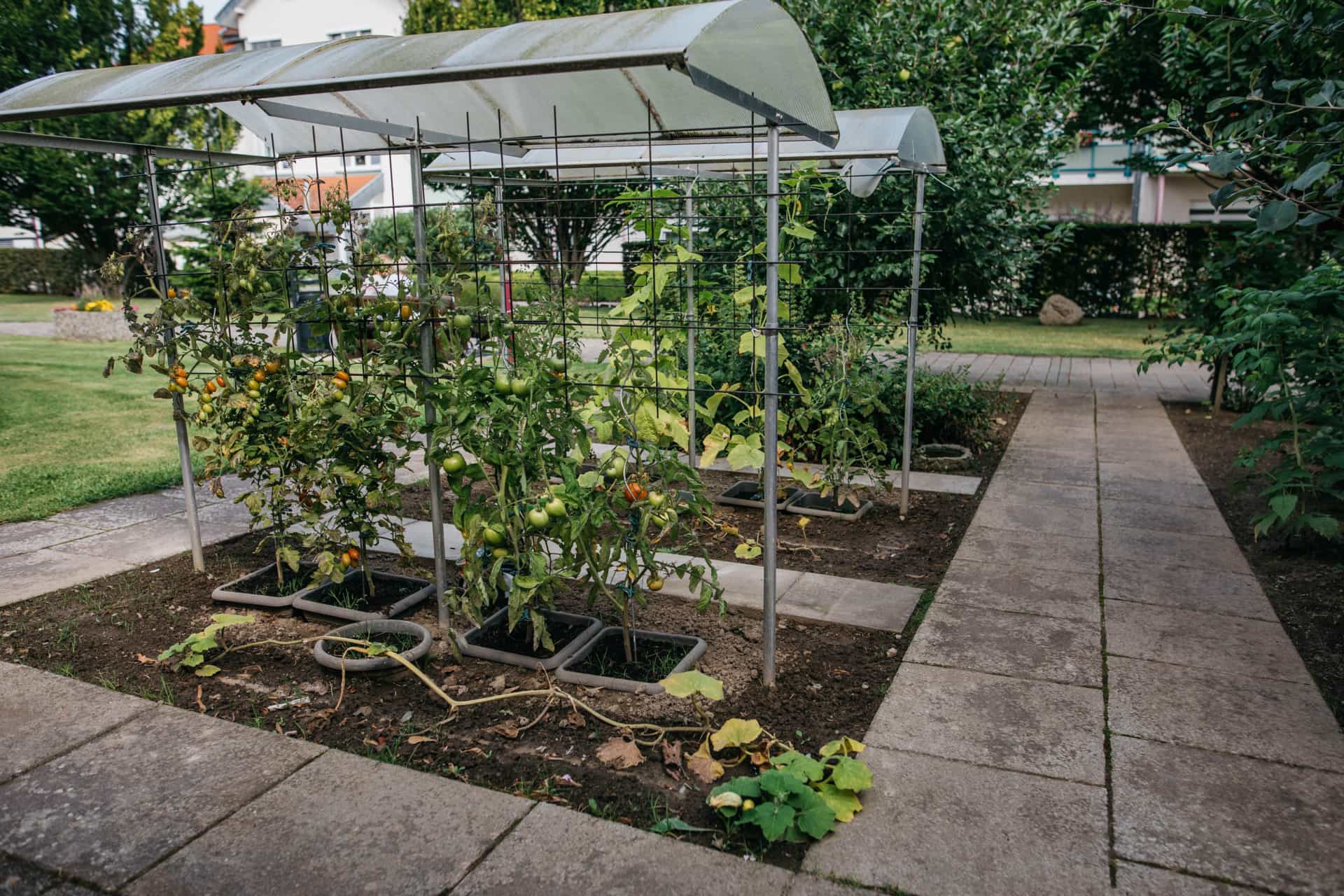 Pflegefachassistent:in  (m/w/d) – Wir kommen Ihnen mit Wertschätzung entgegen! - Haus St. Elisabeth Anröchte - Pflegia