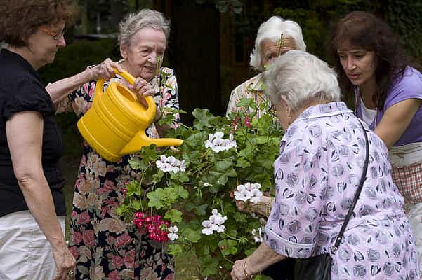 Gerontopsychiatrische Fachkraft (m/w/d) - Werde unser Held! Berlin - Vitanas Senioren Centrum Frohnau - Pflegia