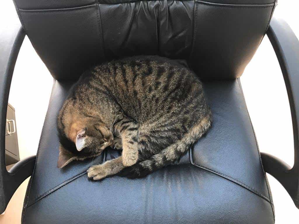 Pflegefachkraft (m/w/d) - Werde Teil unseres Teams! Pirna - AlexA Seniorenresidenz Pirna - Pflegia