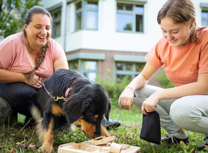 Pflegefachkraft (m/w/d) - Wir suchen Zuwachs für unser Team! - MediClin Klinik an der Lindenhöhe - Pflegia