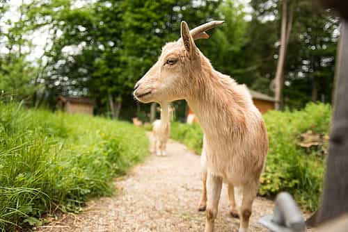 Reiselustige Pflegefachkraft (m/w/d) für unseren FlexPool in der Region Südbayern - Wir suchen Zuwachs in unserem Team! Burtenbach - RDA Diakoniezentrum Schertlinhaus - Pflegia