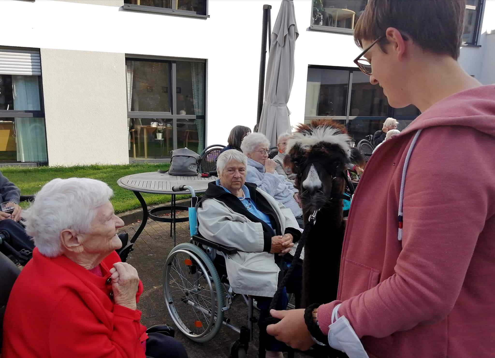 Stellvertretende Pflegedienstleitung (m/w/d) in Teilzeit - Bei uns startet Deine Karriere! Borgholzhausen - DRK Haus Ravensberg - Pflegia