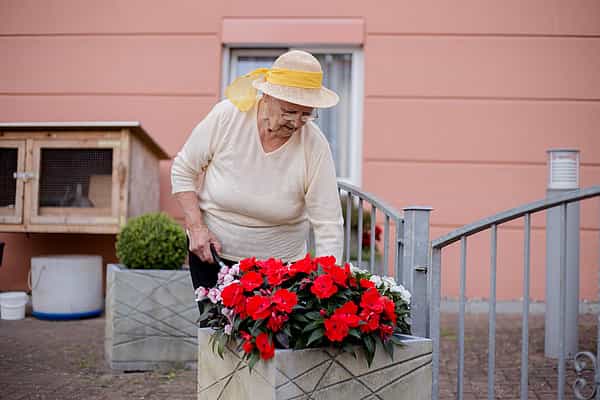 Pflegefachassistenz (m/w/d) - Werde unser Held! Schwerin - Vitanas Senioren Centrum Am Schlossgarten - Pflegia