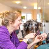 Wohnbereichsleitung (m/w/d) - Pflege und Werte gehören bei uns zusammen! Altenholz - AMICALIS - Seniorenhaus Altenholz - Pflegia