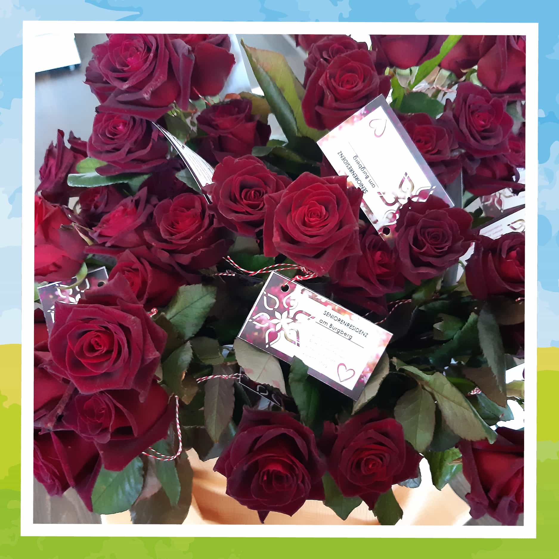 Pflegefachkraft (w/d/m) - Dein Ticket in die Zukunft! - Emeis - Seniorenresidenz am Auetal (Residenz-Gruppe) - Pflegia