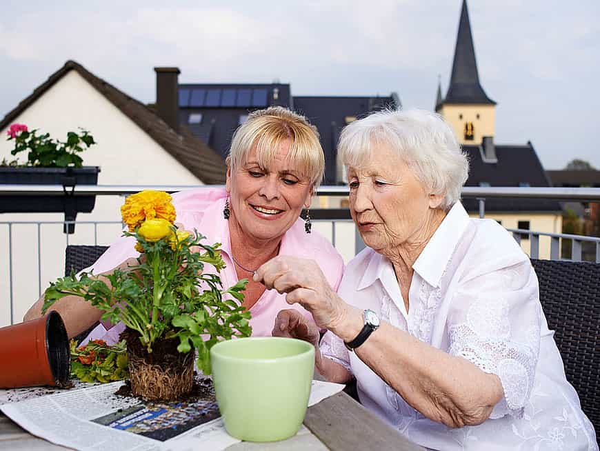 Pflegefachkraft zur Unterstützung Praxisanleitung (m/w/d) - Starten Sie mit uns in eine gemeinsame Zukunft! Meckenheim - Cellitinnen Hausgemeinschaft St. Elisabeth - Pflegia