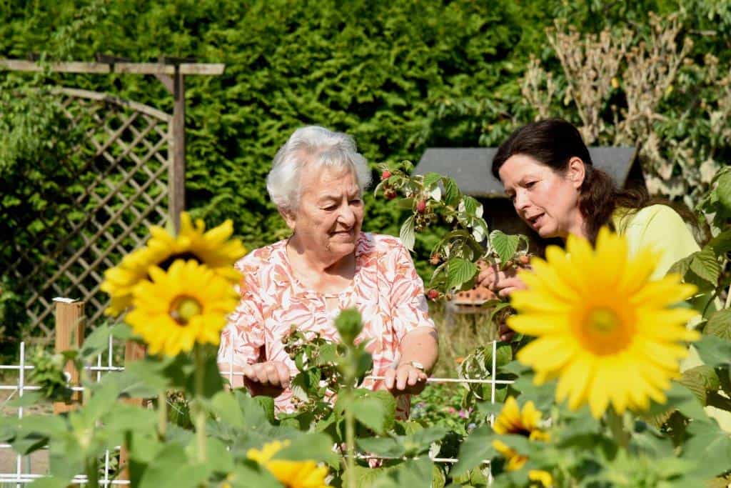 Pflegefachkraft (m/w/d) - Wir freuen uns auf Sie! Parchim - Alten- und Pflegeheim St. Nikolaus, Parchim  - Pflegia