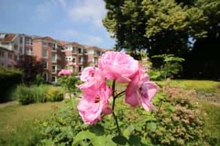 Pflegefachkraft (w/m/d) - Hier bist Du richtig! Grevenbroich - Seniorenhaus Lindenhof - Pflegia