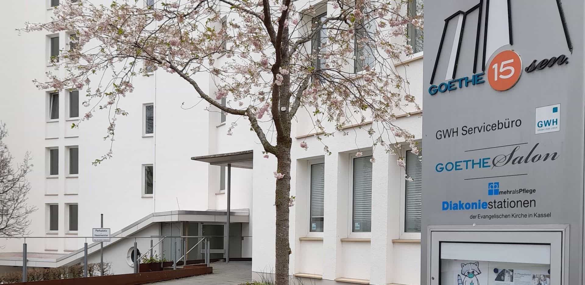 Gelernte Pflegehilfskraft (w/m/d) - Erweitere unser Team! Kassel - Diakoniestationen der Ev. Kirche in Kassel - Pflegia