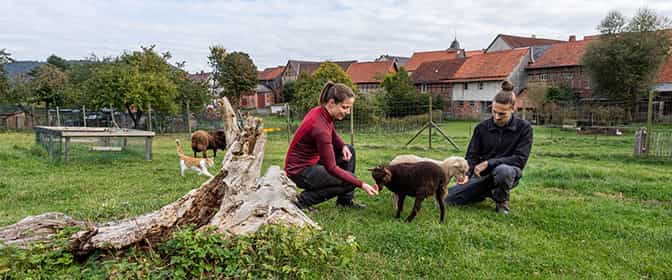 Physiotherapeut:in (m/w/d) auf geringfügiger Basis - Wir freuen uns auf Sie! Bad Wildungen - MEDIAN Klinik Mühlengrund - Pflegia