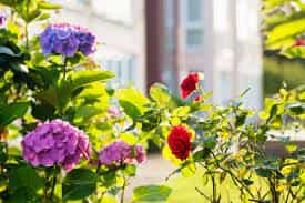 Wohnbereichsleitung (m/w/d) - Wir bieten Dir alle Möglichkeiten! Duisburg - Senioren-Residenz "Am Diergartpark" - Pflegia