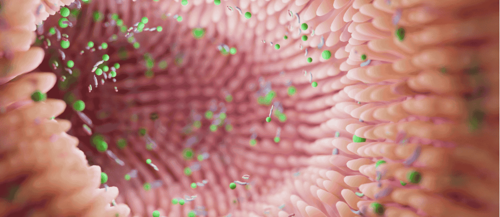 Mikrobiom und Psyche: Nahaufnahme eines Mikrobioms