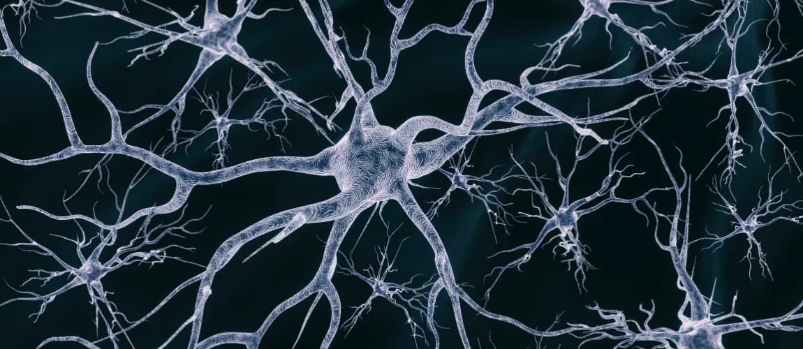 Neurales Netzwerk im Gehirn - Neurologische Krankheiten