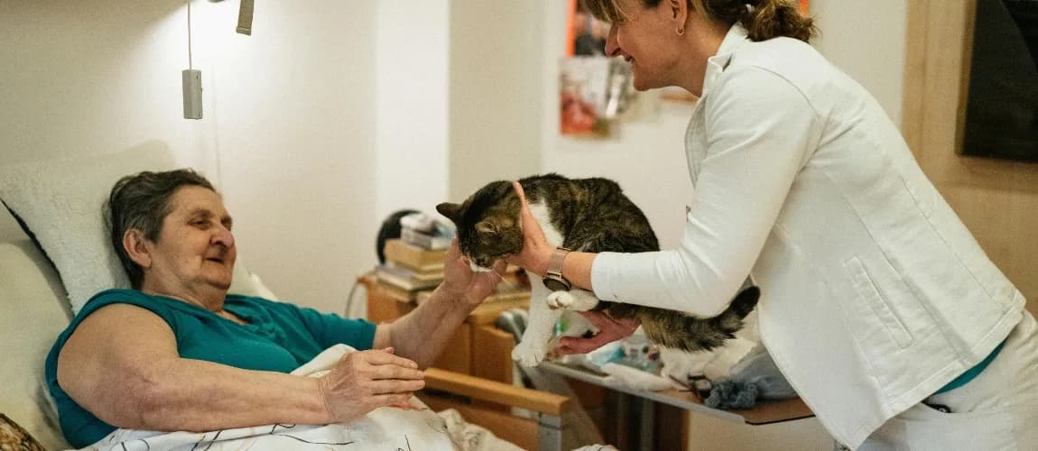 Eine pflegebedürftige Frau liegt im Bett, eine Pflegeperson hält ihr eine Katze zum Streicheln hin.