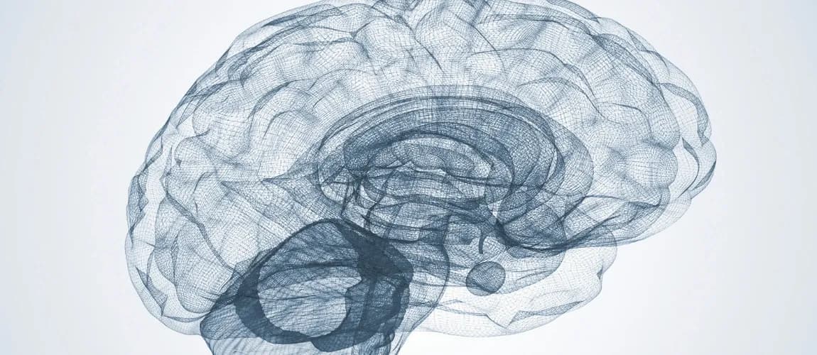 Abbildung Neurodiversität Gehirn
