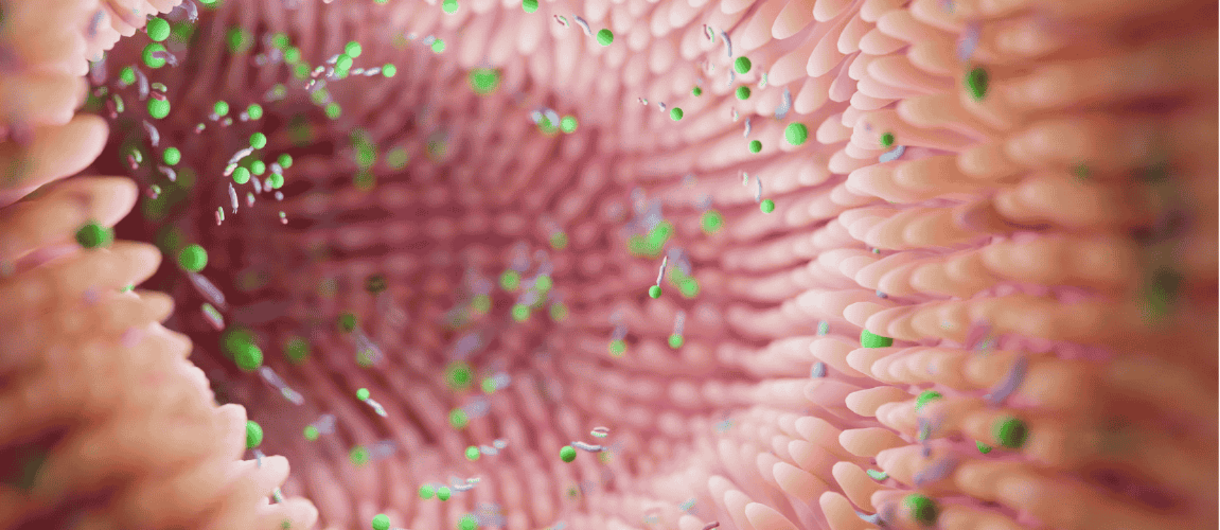 Mikrobiom und Psyche: Nahaufnahme eines Mikrobioms
