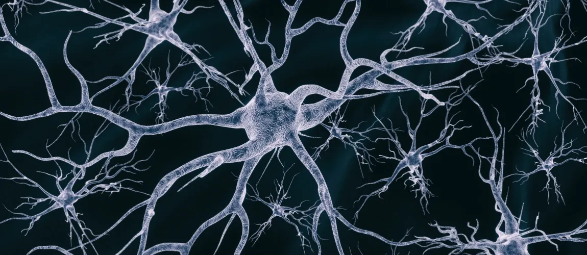 Neurales Netzwerk im Gehirn - Neurologische Krankheiten