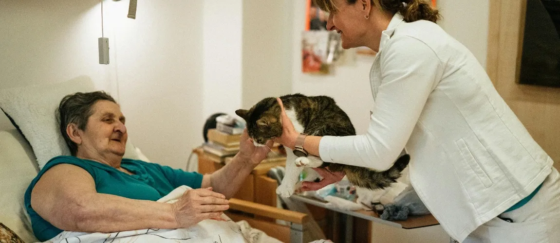 Eine pflegebedürftige Frau liegt im Bett, eine Pflegeperson hält ihr eine Katze zum Streicheln hin.